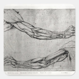 Sticker Carré Étude des armes