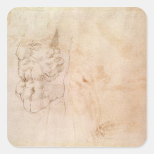 Sticker Carré Étude Torso