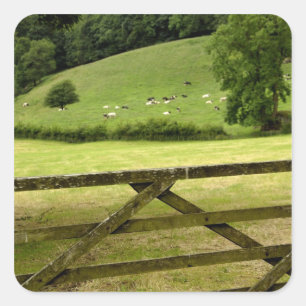 Sticker Carré Europe, Angleterre, District des Lacs, Cumbria,