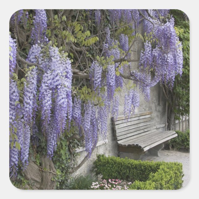 Sticker Carré Europe, Austria, Salzbourg, Salzbourg, (Devant)