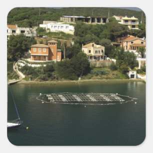 Sticker Carré Europe, Espagne, Minorque (ou Menorca). Poisson