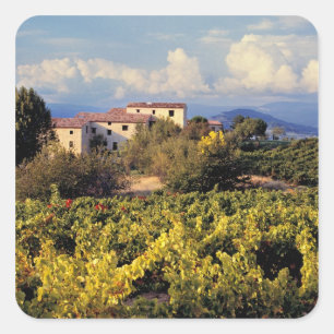 Sticker Carré Europe, France, Bonnieux. Les vignobles couvrent l
