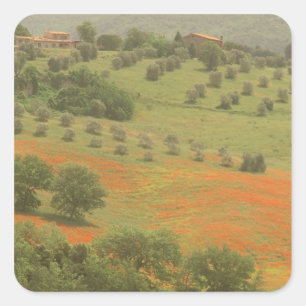 Sticker Carré Europe, Italie, Toscane, Val D'Orcia, Mont