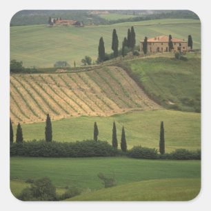Sticker Carré Europe, Italie, Toscane, Val d'Orcia, Toscan