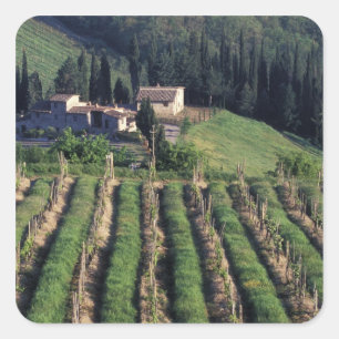 Sticker Carré Europe, Italie, Toscane. Villa panoramique chypre.