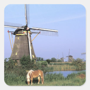 Sticker Carré Europe, Pays-Bas, Zuid Holland, Kinderdijk. 2