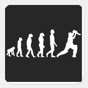 Sticker Carré Évolution du cricket