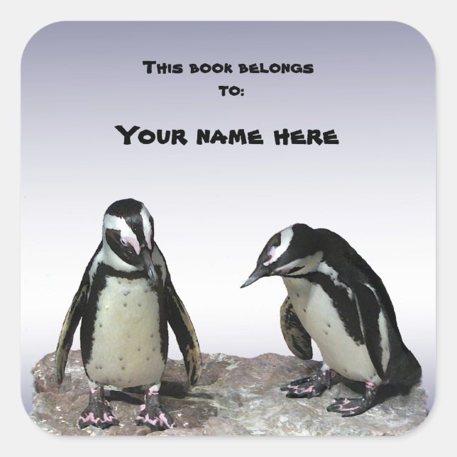 Sticker Carré Ex-libris de pingouins (Devant)