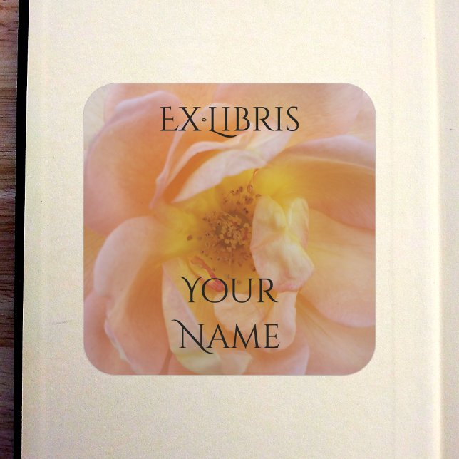 Sticker Carré Ex-libris de rose de couleur pêche (Peach-Colored Rose Bookplate in Old Book)
