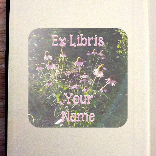 Sticker Carré Ex-libris Fleurs d'échinacée au soleil (Echinacea Flowers in the Sun Bookplate in Old Book)