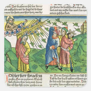 Sticker Carré Exode 10:1-20 Les sept fléaux de l'Égypte : la pla