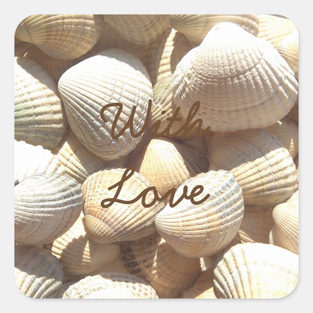 Sticker Carré Exotic Tropical Sea Shell Summer Beach Photographi (Devant)