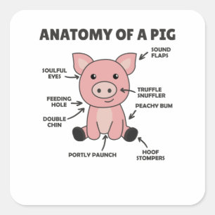 Sticker Carré Explication Drôle De L'Anatomie D'Un Cochon