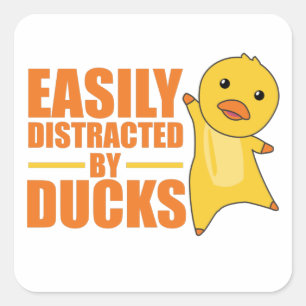 Sticker Carré Facilement Distrait Par Les Canards - Drôle Canard