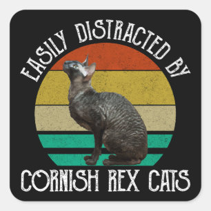 Sticker Carré Facilement Distrait Par Les Chats Cornish Rex