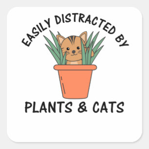 Sticker Carré Facilement Distrait Par Plantes Et Chats Plante Ch