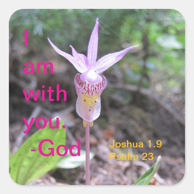 Sticker Carré Fairyslipper Orchid (Devant)