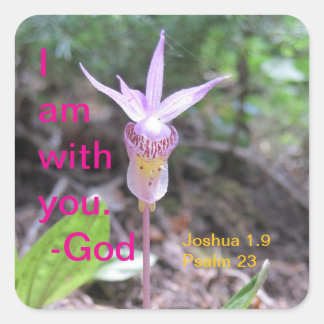 Sticker Carré Fairyslipper Orchid