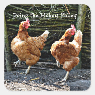 Sticker Carré Faisant le Hokey Pokey,