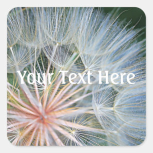 Sticker Carré Falln de nouveaux voeux