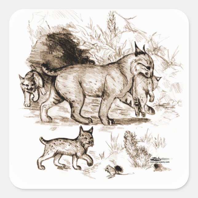 Sticker Carré Famille Bobcat (Devant)