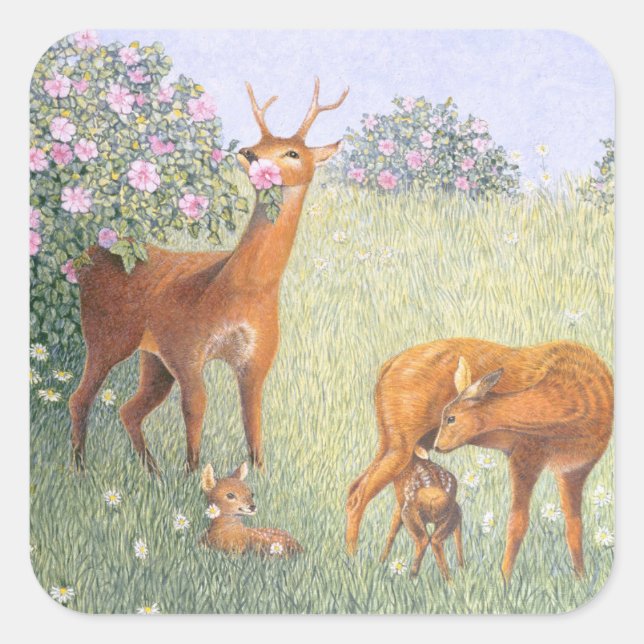 Sticker Carré Famille des cerfs (Devant)