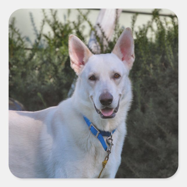 Sticker Carré Fantôme (Devant)