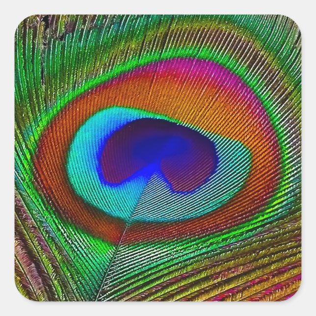 Sticker Carré Feather Vibrant Copper (Devant)