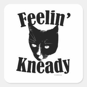 Sticker Carré Feelin Kneady Funny Chat Cute Photo Slogan