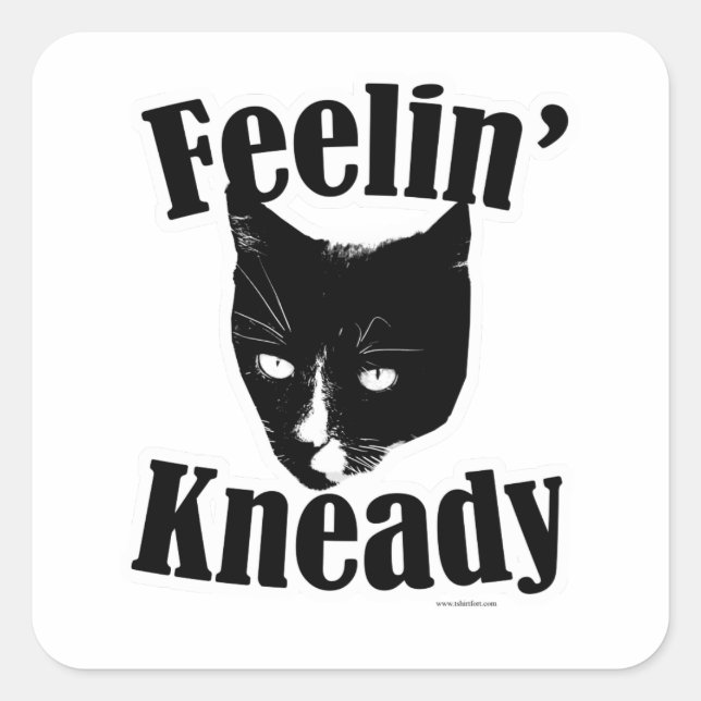 Sticker Carré Feelin Kneady Funny Chat Cute Photo Slogan (Devant)