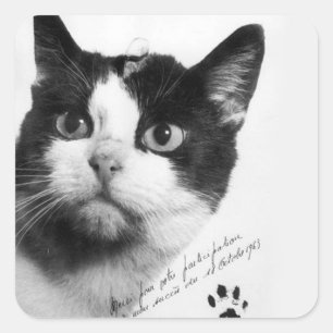 Sticker Carré Félicette : Le premier chat dans l'espace
