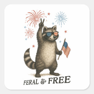 Sticker Carré Feral Mais Fireworks Gratuit Feral Raccoon 4 juill