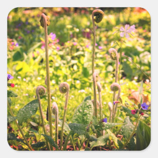 Sticker Carré Fermes Et Fleurs À Tête De Fièvre