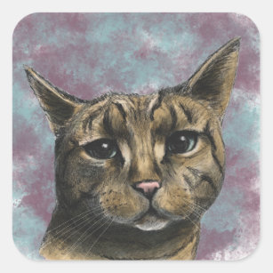 Cadeaux Dessin Realiste De Chat Zazzle Fr