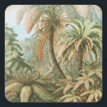 Sticker Carré Ferns, Filicinae Laubfarne par Ernst Haeckel<br><div class="desc">Ferns,  Filicinae Laubfarne par Ernst Haeckel Sticker</div>