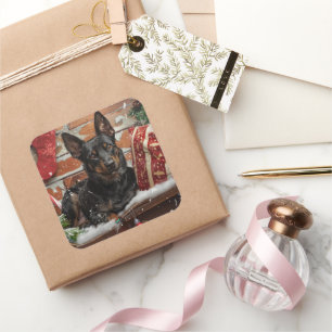 Sticker Carré Festival de Noël des chiens Kelpie australiens