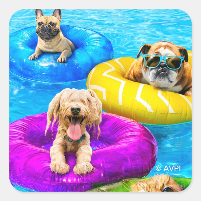 Sticker Carré Fête de chien à la piscine (Devant)