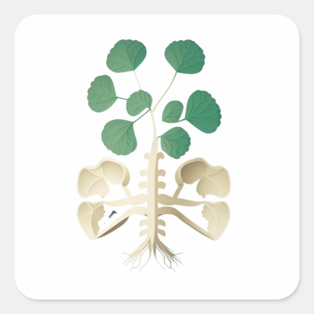 Sticker Carré Fête de la Saint Patrick, Shamrock chanceuse (Devant)