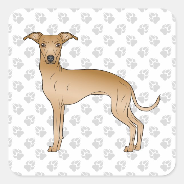 Sticker Carré Fête Italien Greyhound Cute Dessin Chien Avec Patr (Devant)