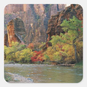 Sticker Carré Feuillage d'automne le long de la rivière Virgin p