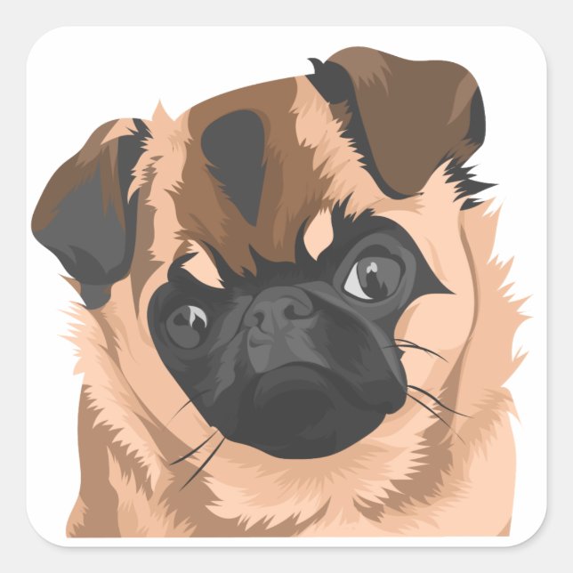 Sticker Carré Feuille autocollante (Devant)