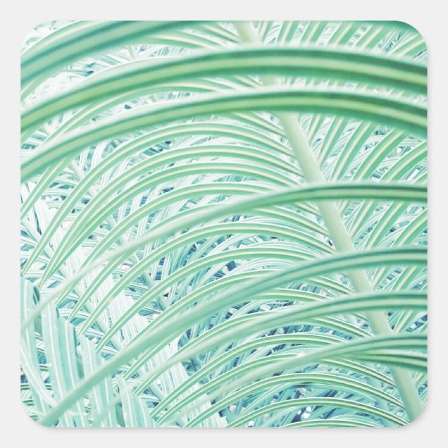 Sticker Carré Feuille de palmier de plante verte douce (Devant)