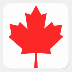 Sticker Carré Feuille d'érable canadienne