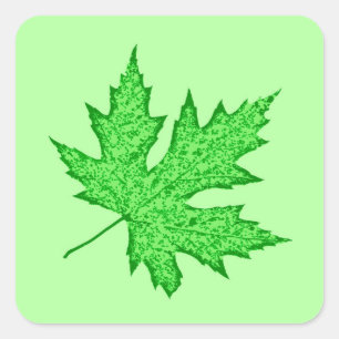 Sticker Carré Feuilles de chêne - nuances de vert