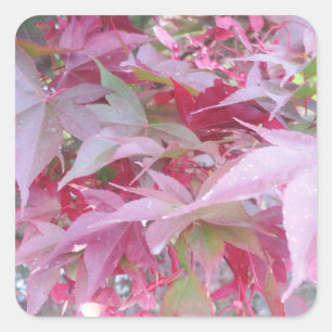 Sticker Carré Feuilles De Chute Rose Et Sage