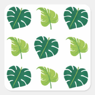 Sticker Carré Feuilles minimaux Plantes verts modernes