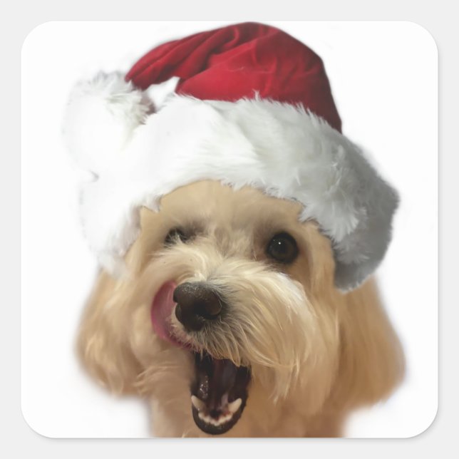 Sticker Carré Feuillet d'autocollant pour chiot de Noël ! (Devant)