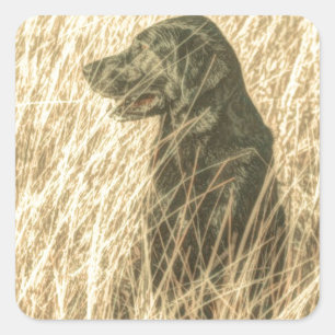 Sticker Carré Field Outdoorsman Chasse Chien Chien Chien Chien C