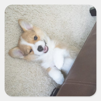 Sticker Carré fille