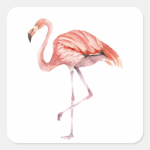 Sticker Carré Flamant rose rose
